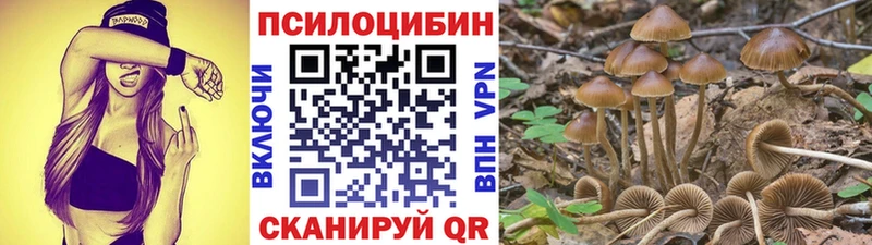 Псилоцибиновые грибы MAGIC MUSHROOMS Азнакаево