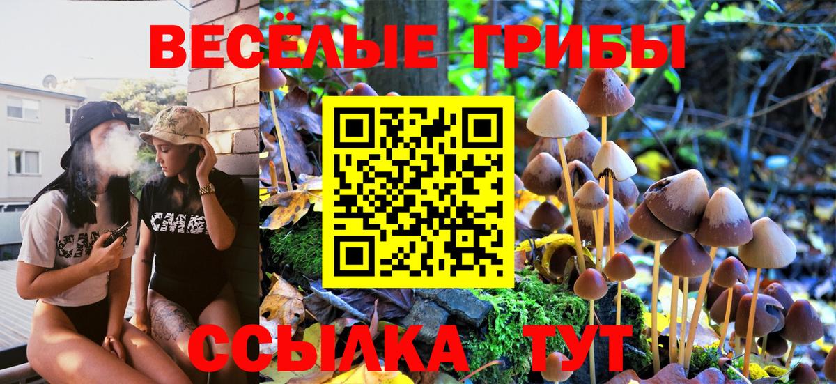 Псилоцибиновые грибы прущие грибы  Вход с VPN  Азнакаево 